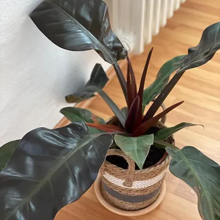 Sam & Karo Boutique Apartamento