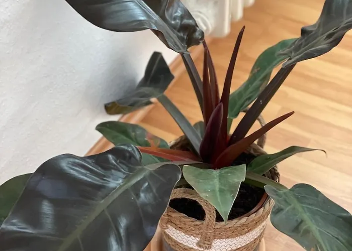 Sam & Karo Boutique アパート